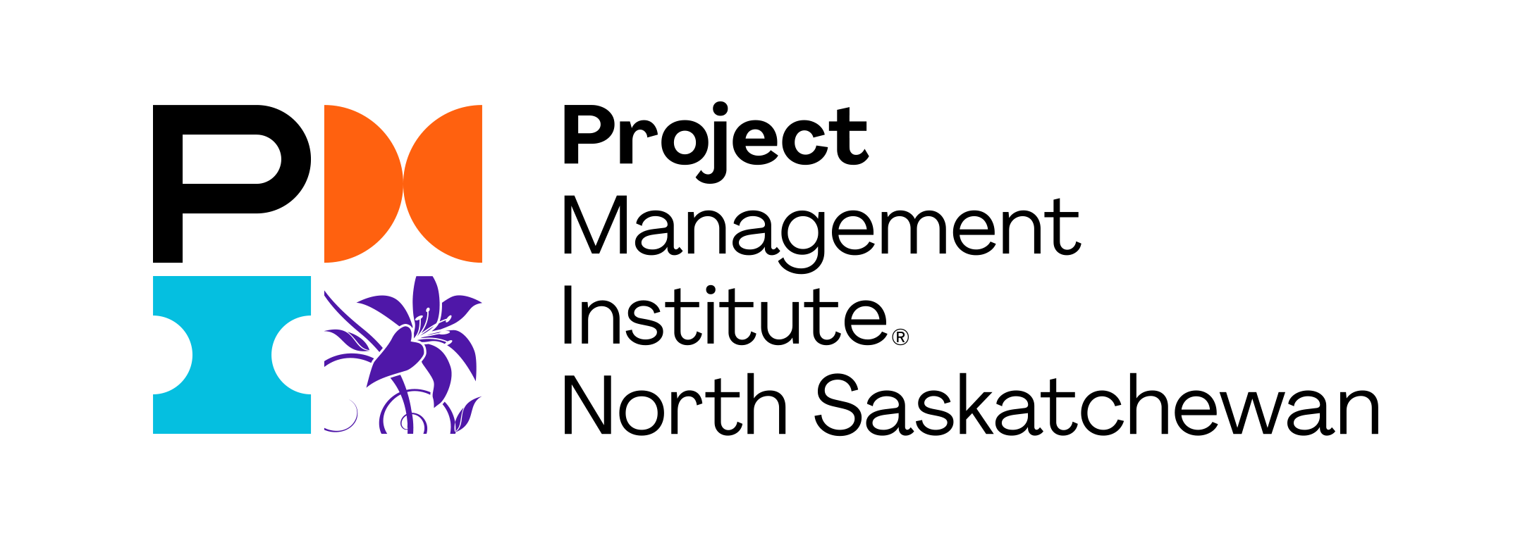 PMI logo